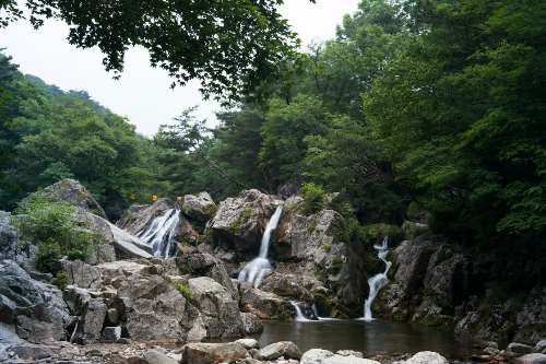 국내 여름 휴가지