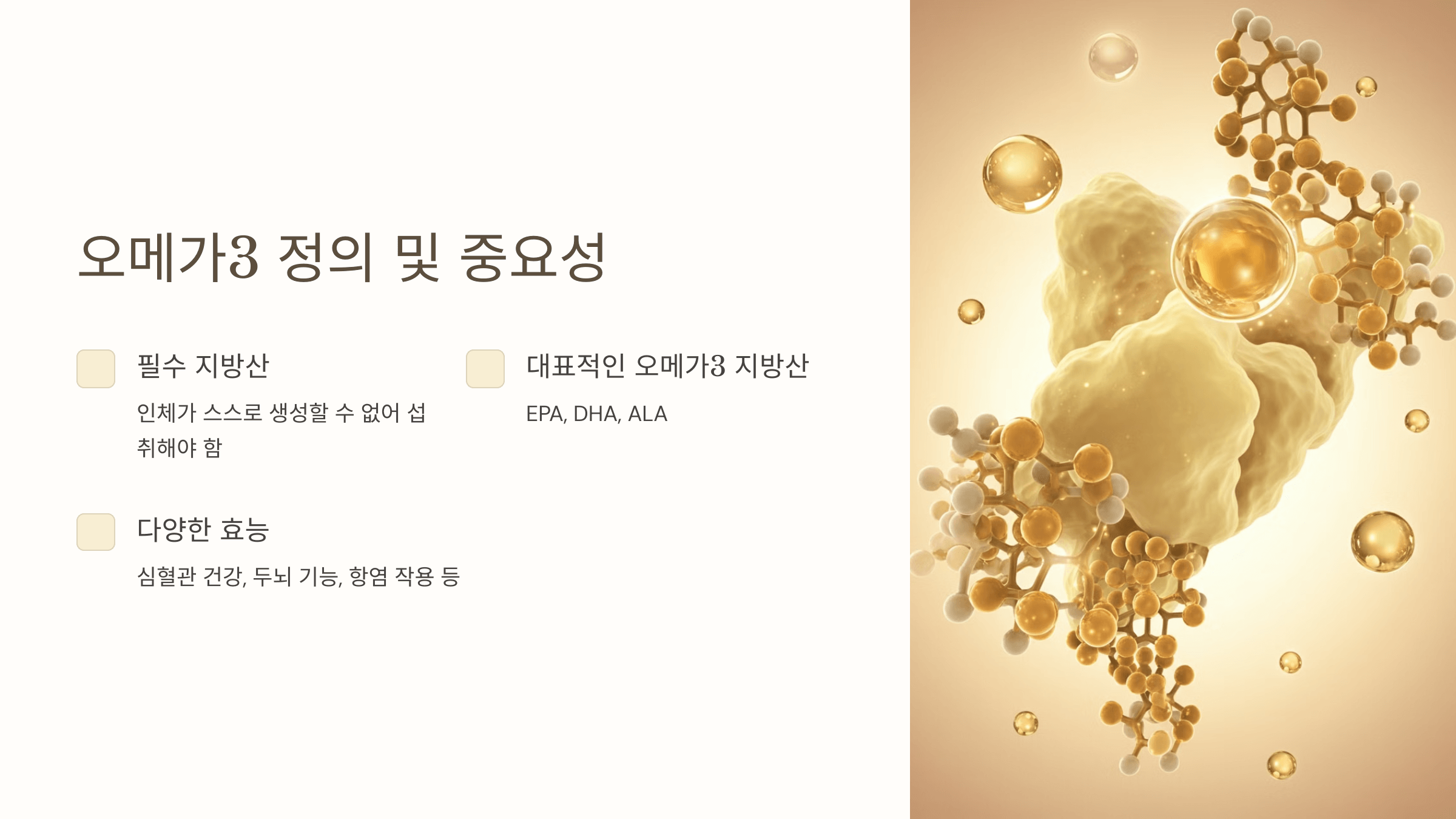 오메가3와 관련된 사진입니다.