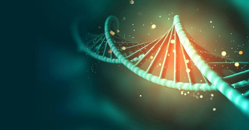 탈모 유전자 종류 확률 모계유전 검사 정리