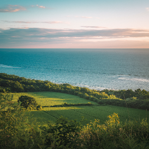 게스트 하우스 홍당무