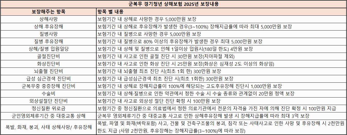 '군복무 청년 상해보험' 보장항목