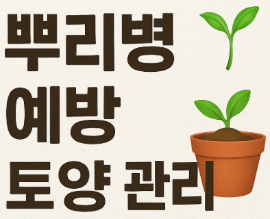 과습으로 식물 뿌리병 예방을 위한 토양 관리법 사진