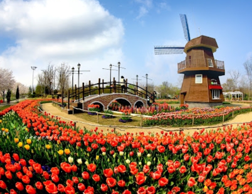 SNS 감성 여행지: 순천만 국가정원