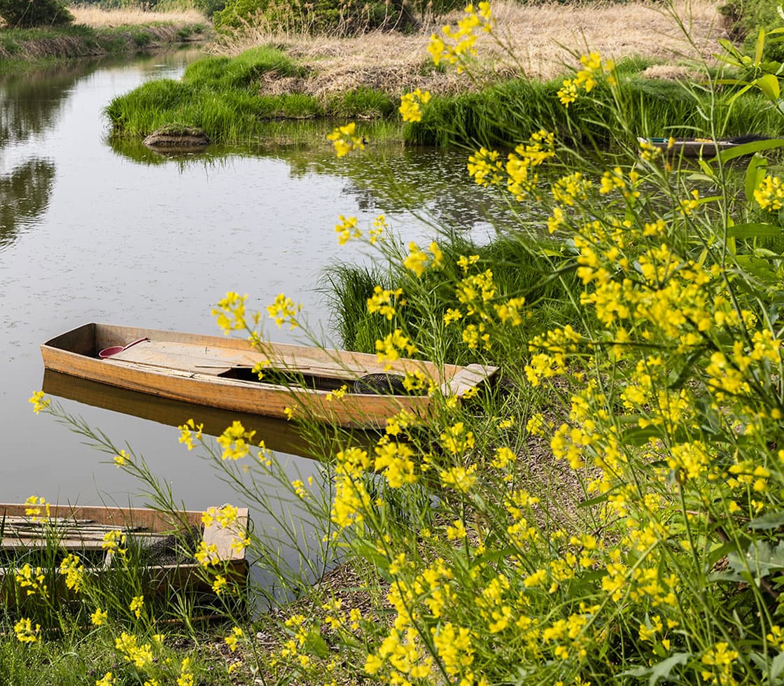 경남 창녕군 우포늪, 우포생태관, 우포출렁다리