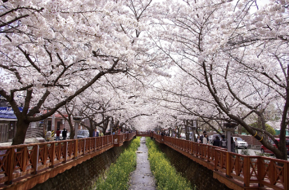 계절별 국내여행 추천지 분석