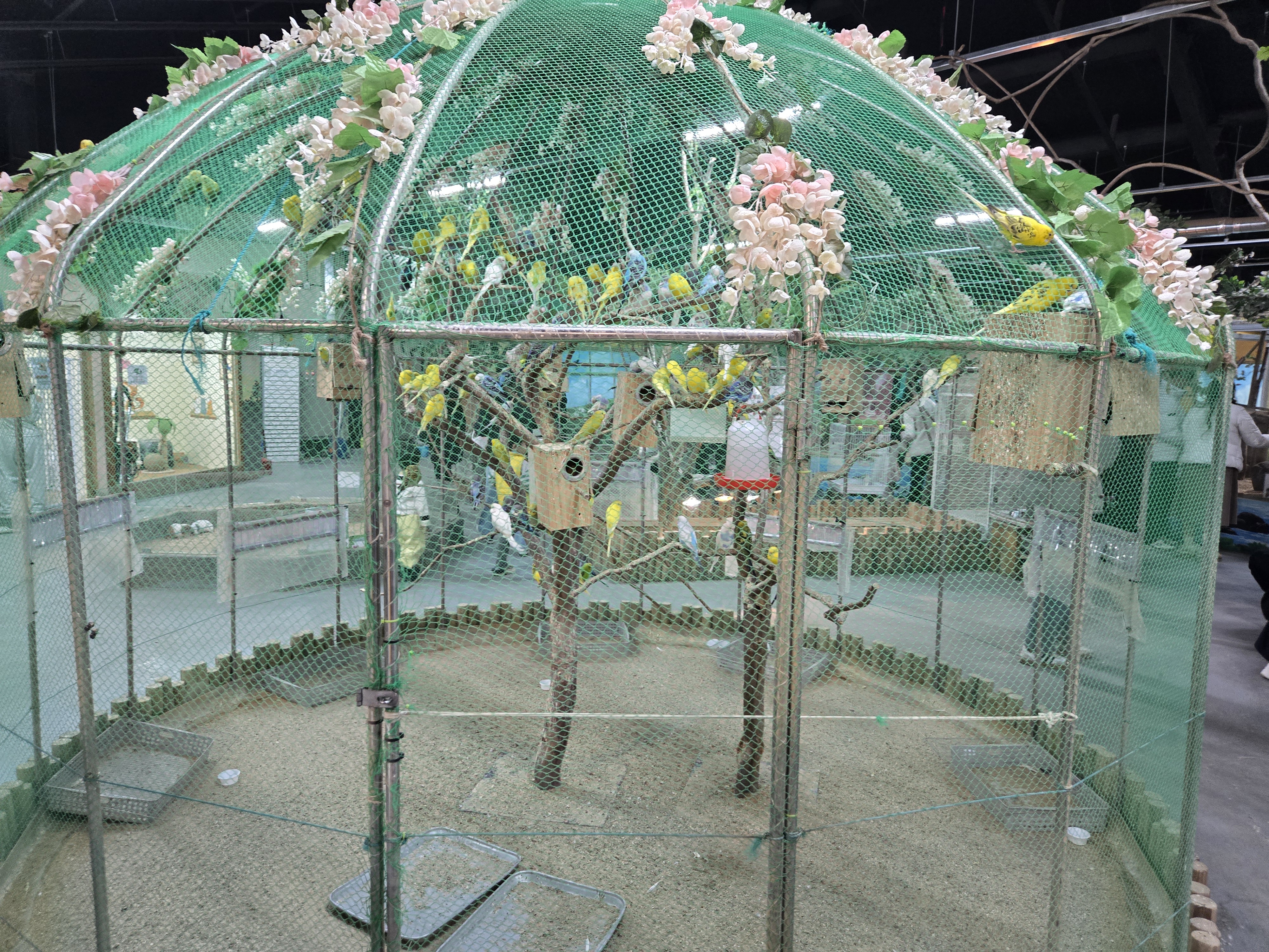 광주벅스랜드 새장