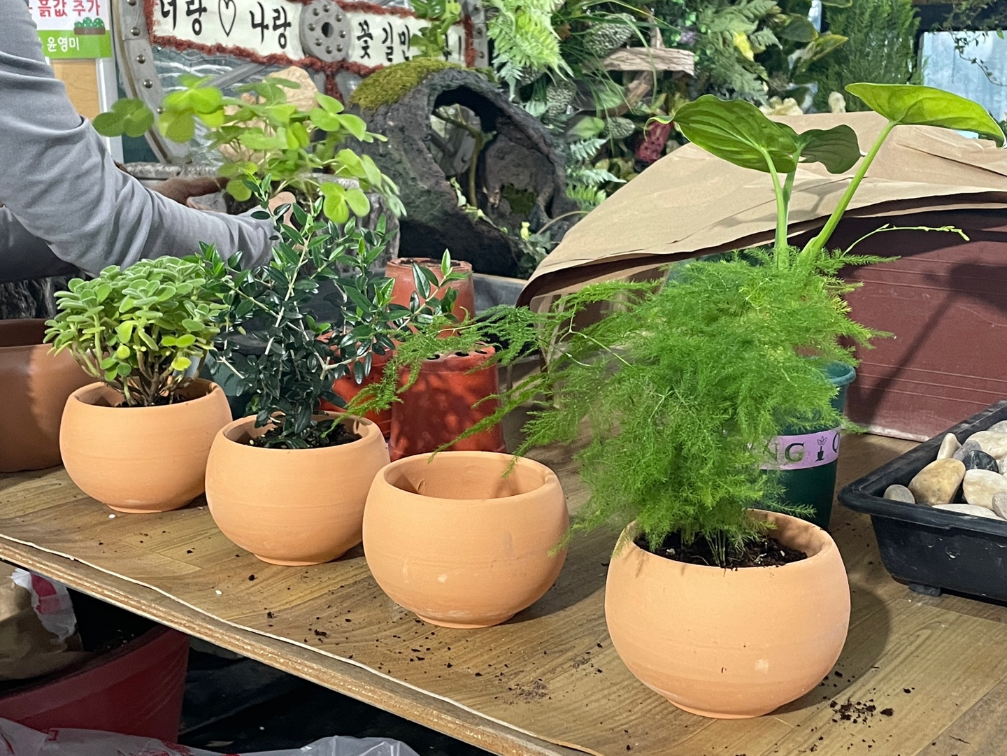 춘천 꽃집 꽃 도소매