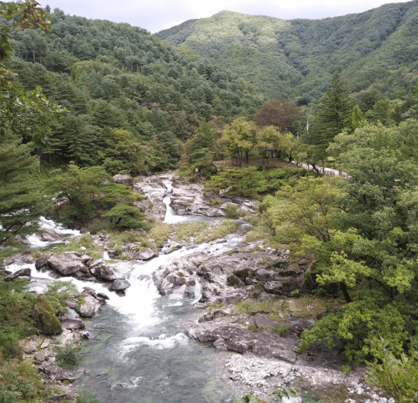 연인산 명품계곡길