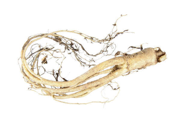 가래에 좋은 음식