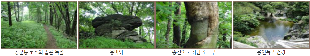 주왕산 등산코스