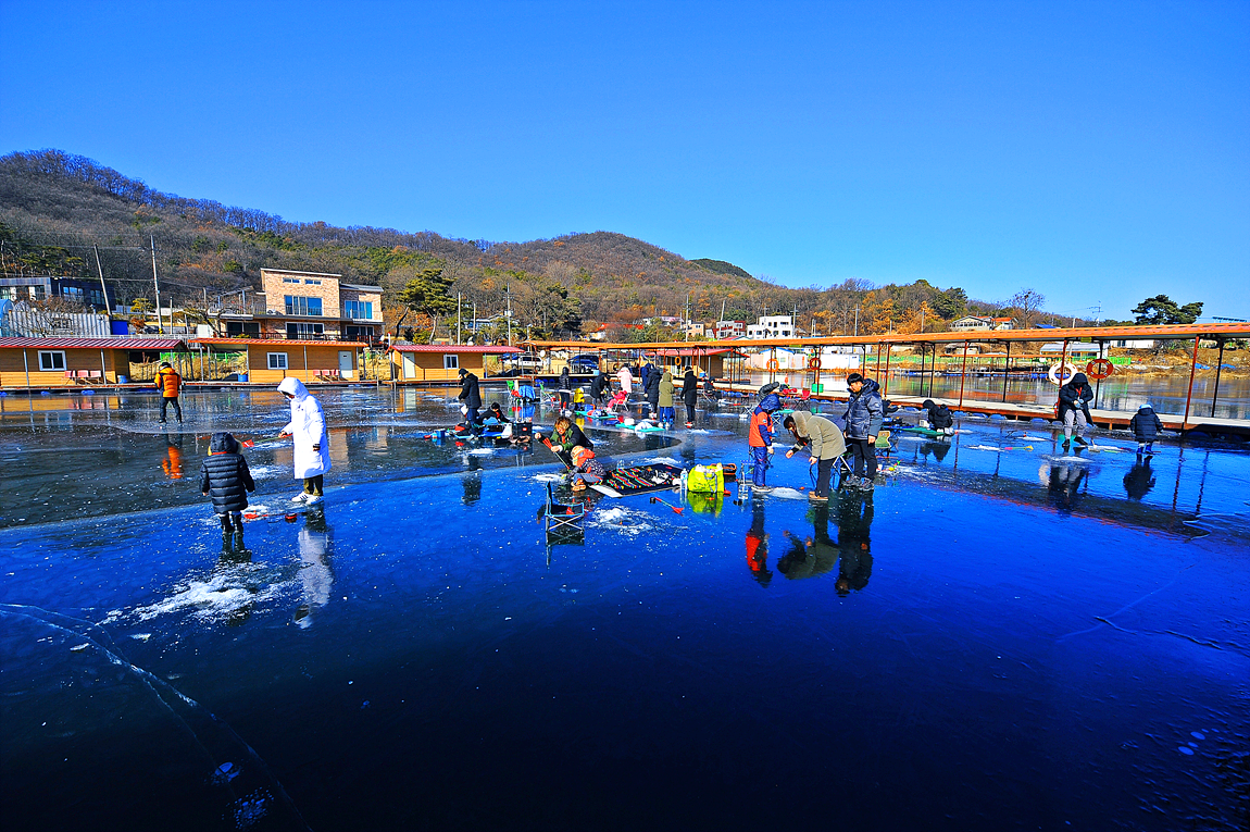강화 양오 빙어 축제