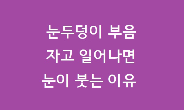 눈두덩이 부음