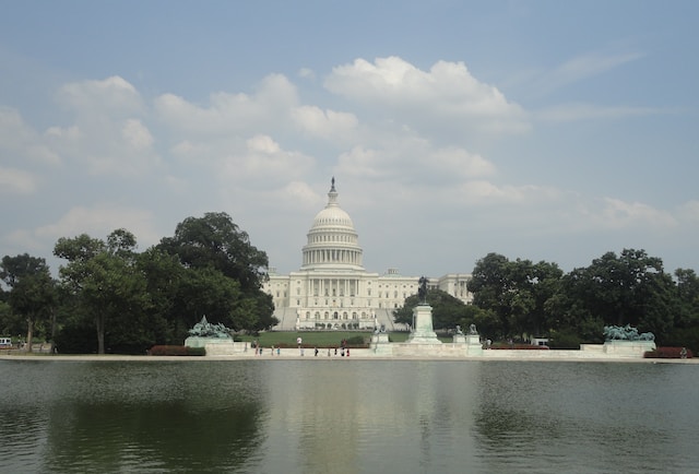 워싱턴 DC