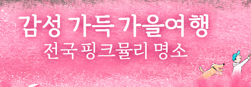 전국 핑크큘리 명소