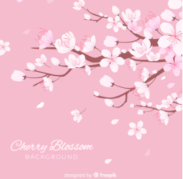 벚꽃