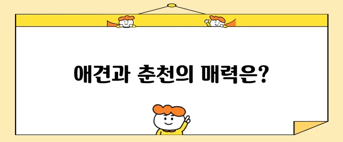 강원도 여행의 즐거움, 애견과 함께하는 춘천 호텔 헤이 춘천 펫룸에서 만끽하세요!