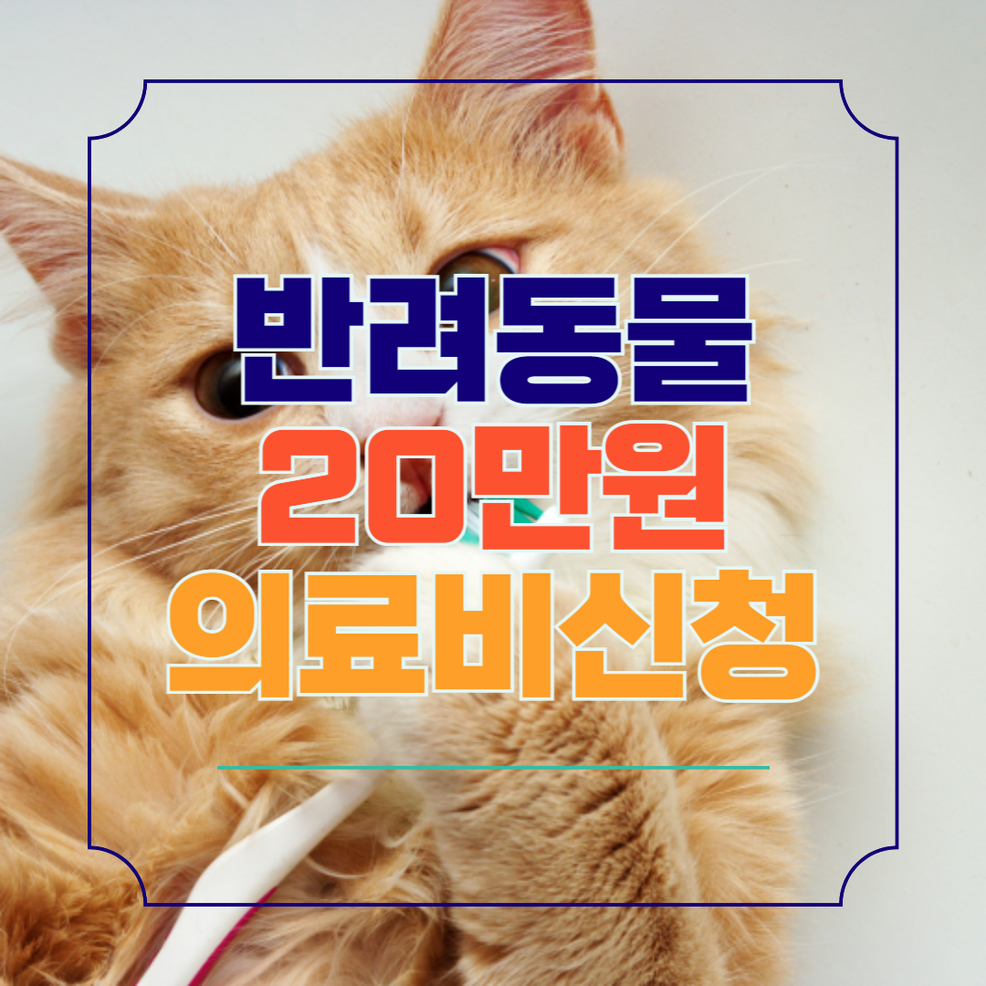 대전 반려동물 의료비 지원 20만원의 혜택 찾기