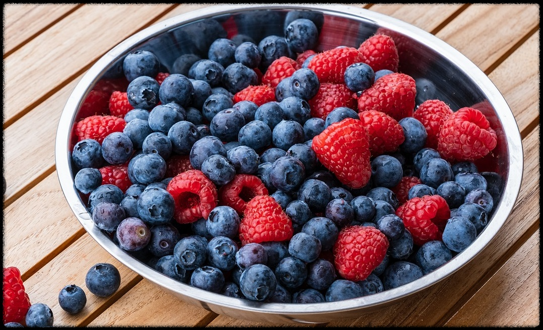 블루베리 효능 이미지_21