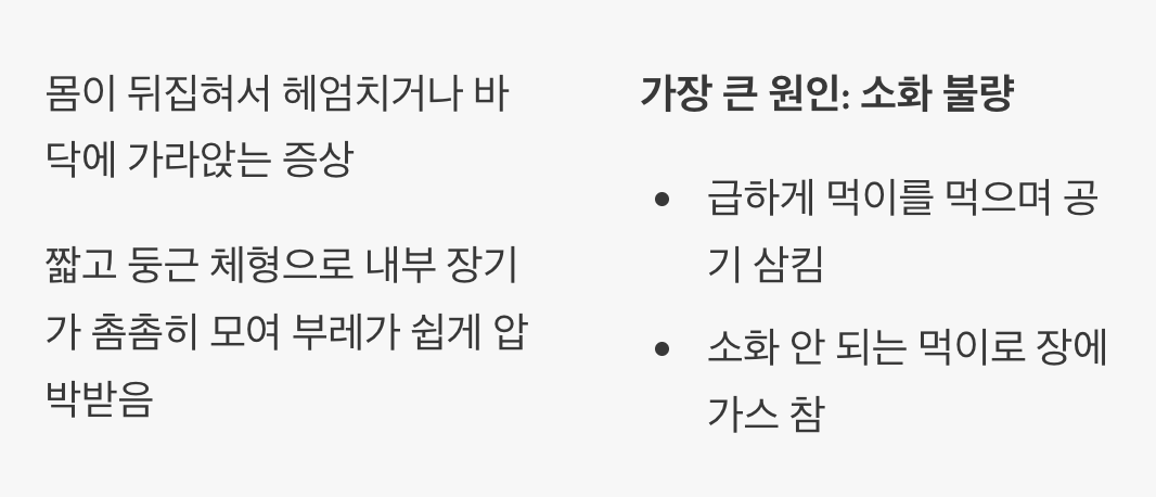 '부레병', 진주린의 숙명을 이해하기