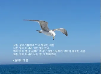 갈매기의 꿈 줄거리 자기초월 우화 리처드 바크_8