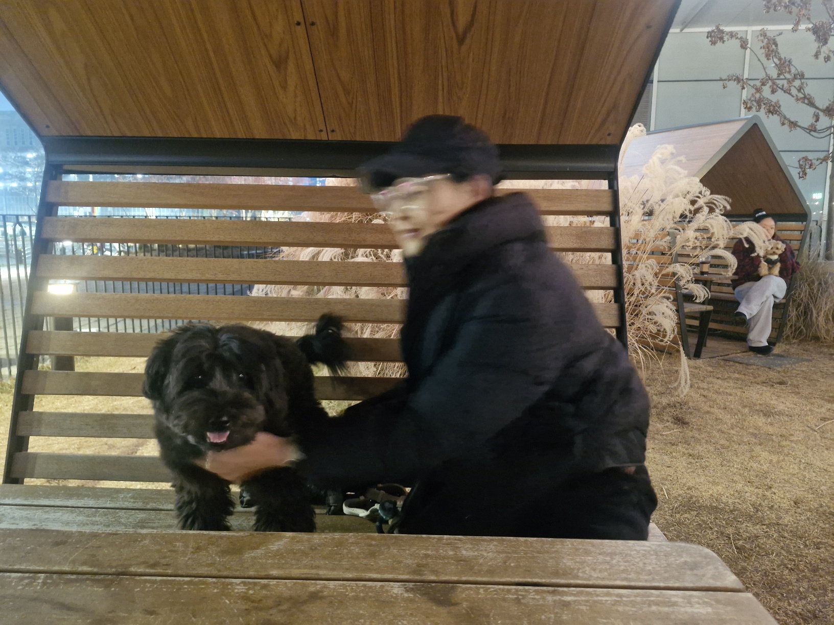 행복한 강아지 잠자는 위치별 심리 6가지
