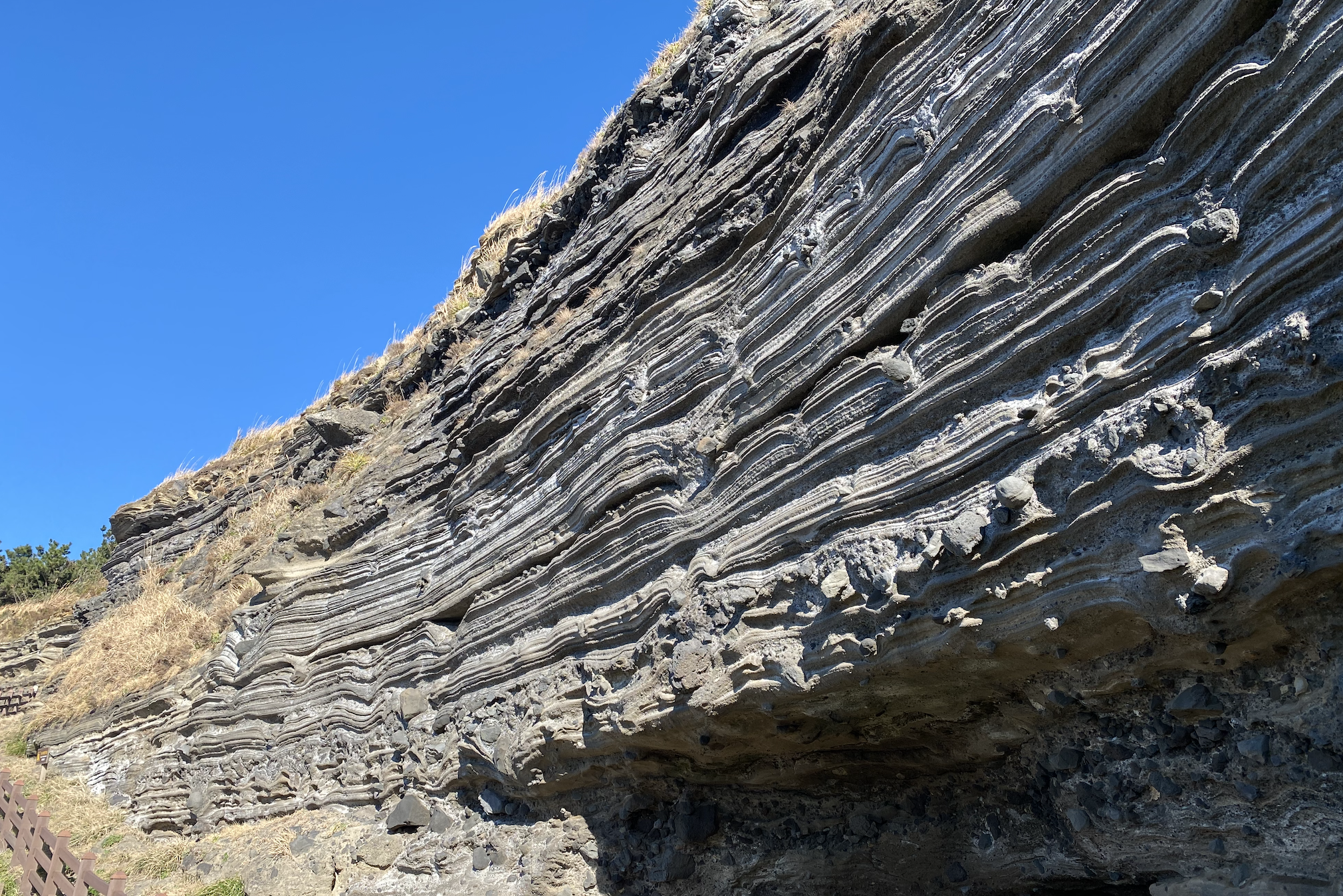 엉알해변 지질코스