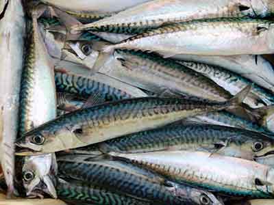 오메가-3-많은-음식-고등어