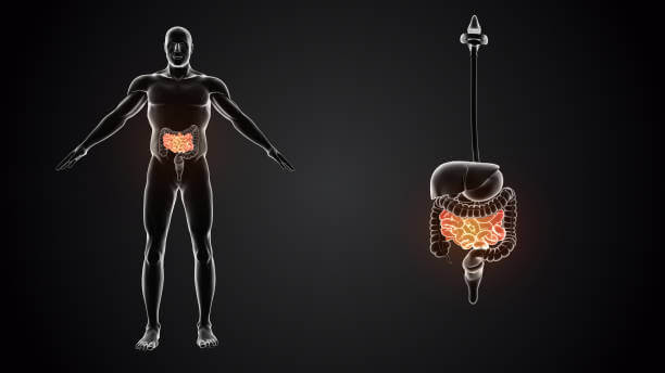 장염 먹어도 되는 음식 VS 안되는 음식을 잘 알아야 장염을 빨리 극복할 수 있다고 합니다. 장염은 아이부터 어른까지 누구나 걸릴 수 있는 질병이고 음식 때문에도 걸릴 수 있기 때문에 잘 숙지하시기 바랍니다.