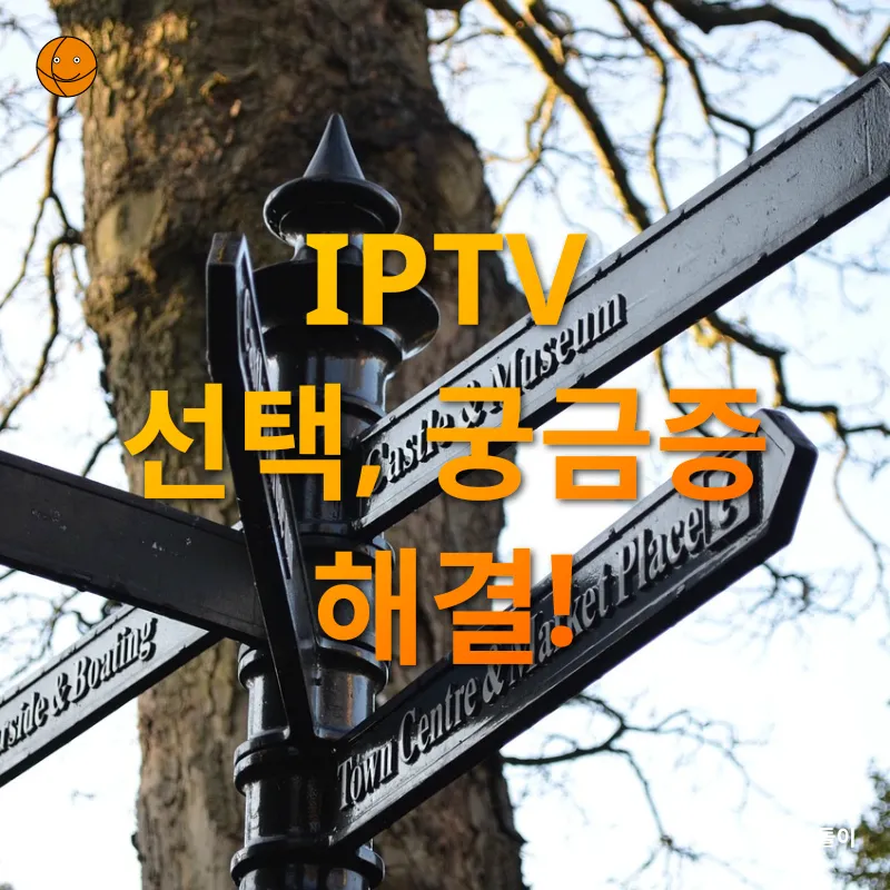 IPTV 선택_4