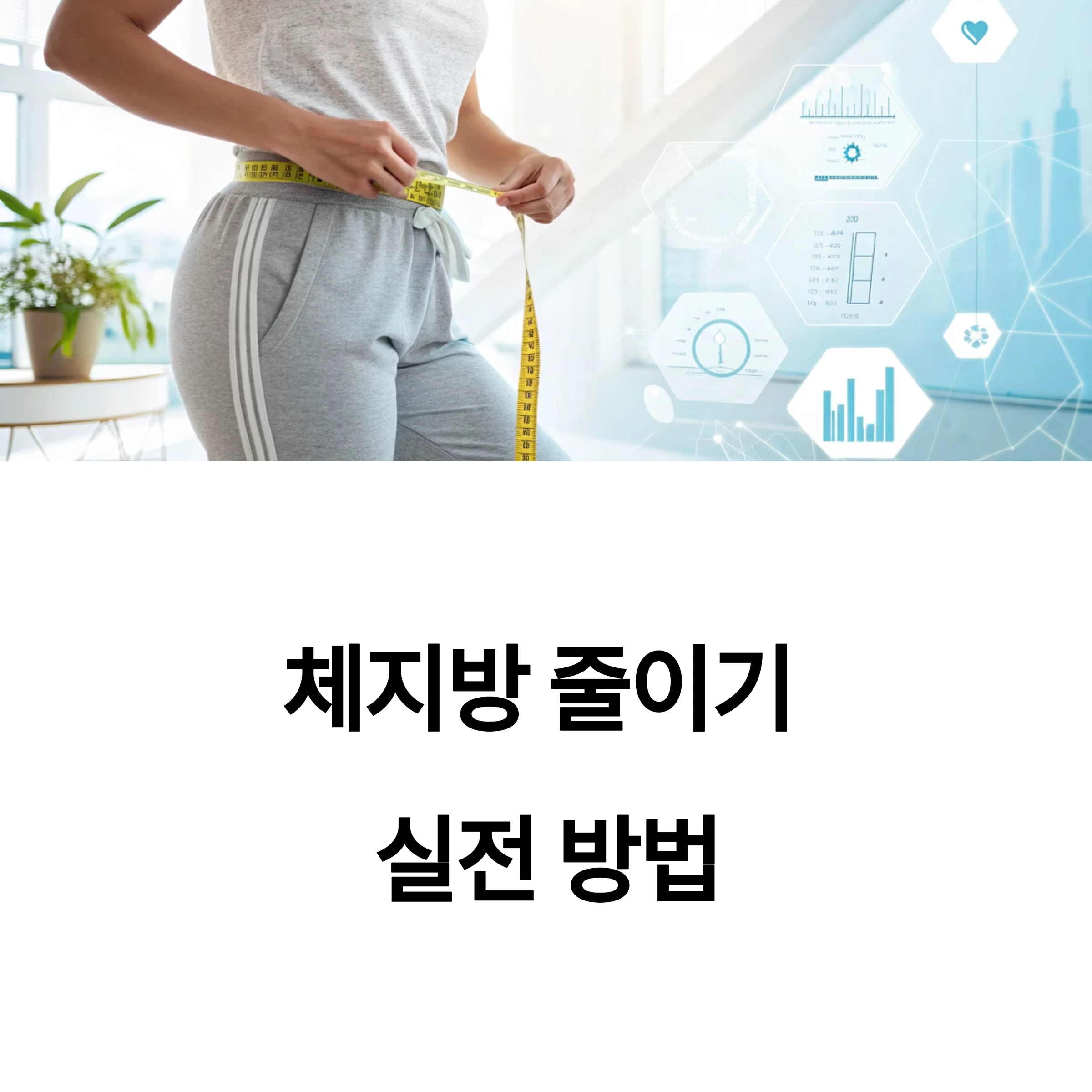 체지방줄이기