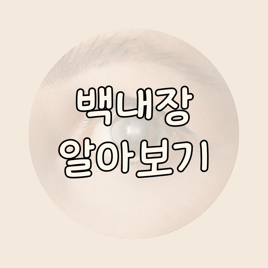 백내장