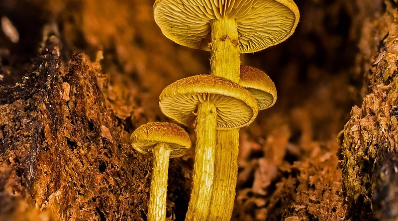 지하주차장 누수 보수공사 시공사례