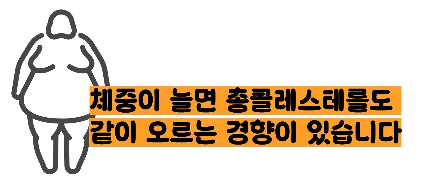 총콜레스테롤 정상수치