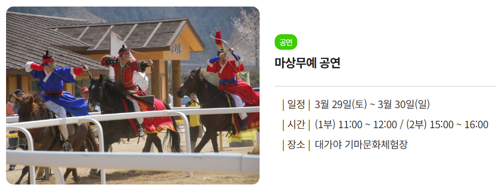 2025 고령 대가야 축제 마상무예 공연