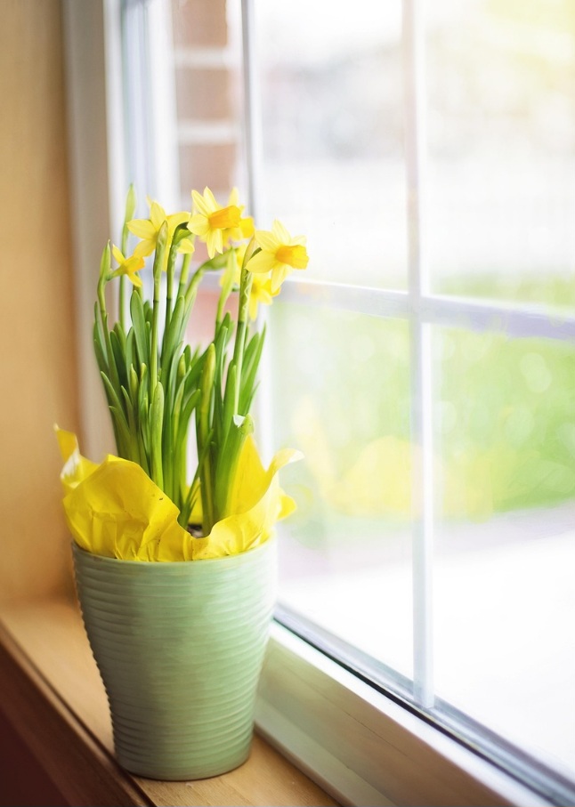 냉장고 주변과 뒤편이 위생 취약 지점이 되는 구조적 이유