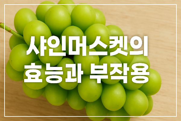 샤인머스켓의 효능과 부작용