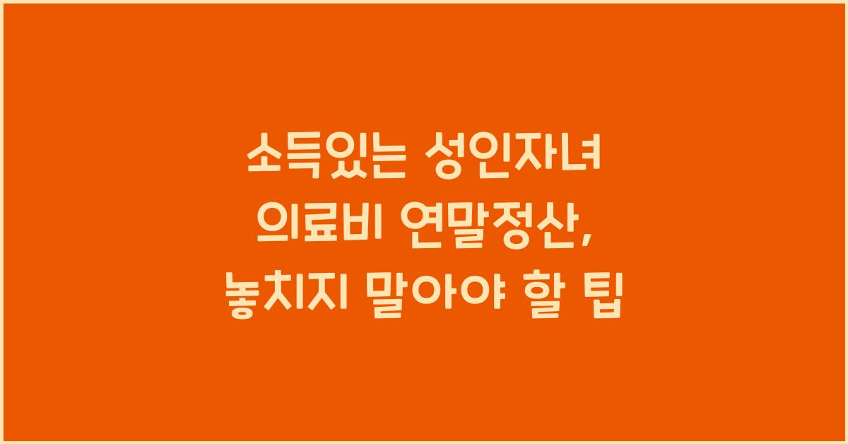 소득있는 성인자녀 의료비 연말정산