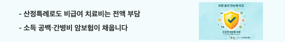 암보험 비교 및 필요성: "산정특례로도 비급여 치료비는 전액 부담 / 소득 공백·간병비 암보험이 채웁니다"라는 문구가 포함된 웹배너 이미지. 이 이미지는 산정특례와 실손보험으로 커버되지 않는 비급여 치료비와 생활비 영역에서 암보험의 역할을 시각적으로 전달하며, 블로그의 암보험 필요성과 관련된 내용을 설명함