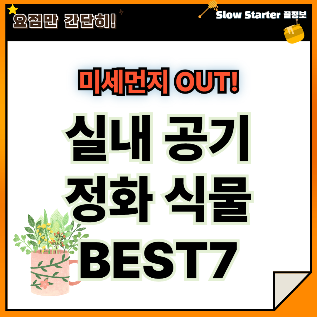 미세먼지를 없애는 실내 공기 정화 식물 BEST 7