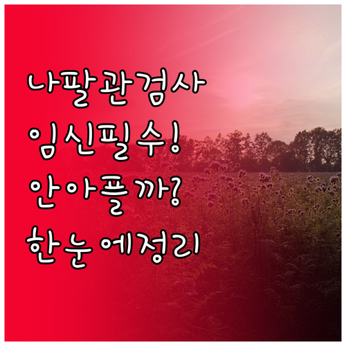 나팔관 조영술 자궁 내강 확인 및 난..