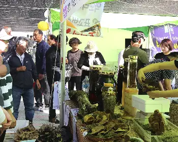 산청 한방약초축제_19