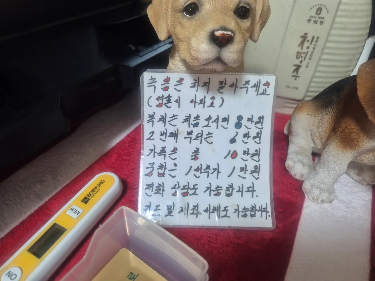 잠실-사주-가격
