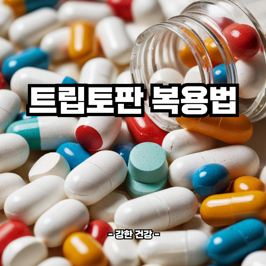 트립토판 복용법