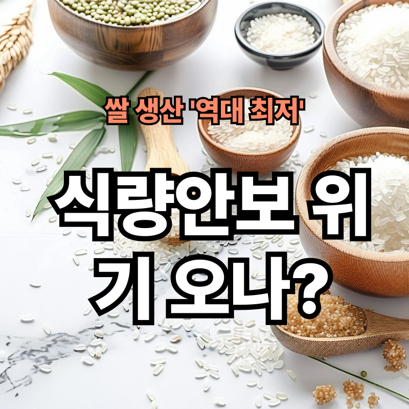 정부 쌀 감축 정책의 그림자: ‘역대 최소’ 생산과 식량안보의 경고등