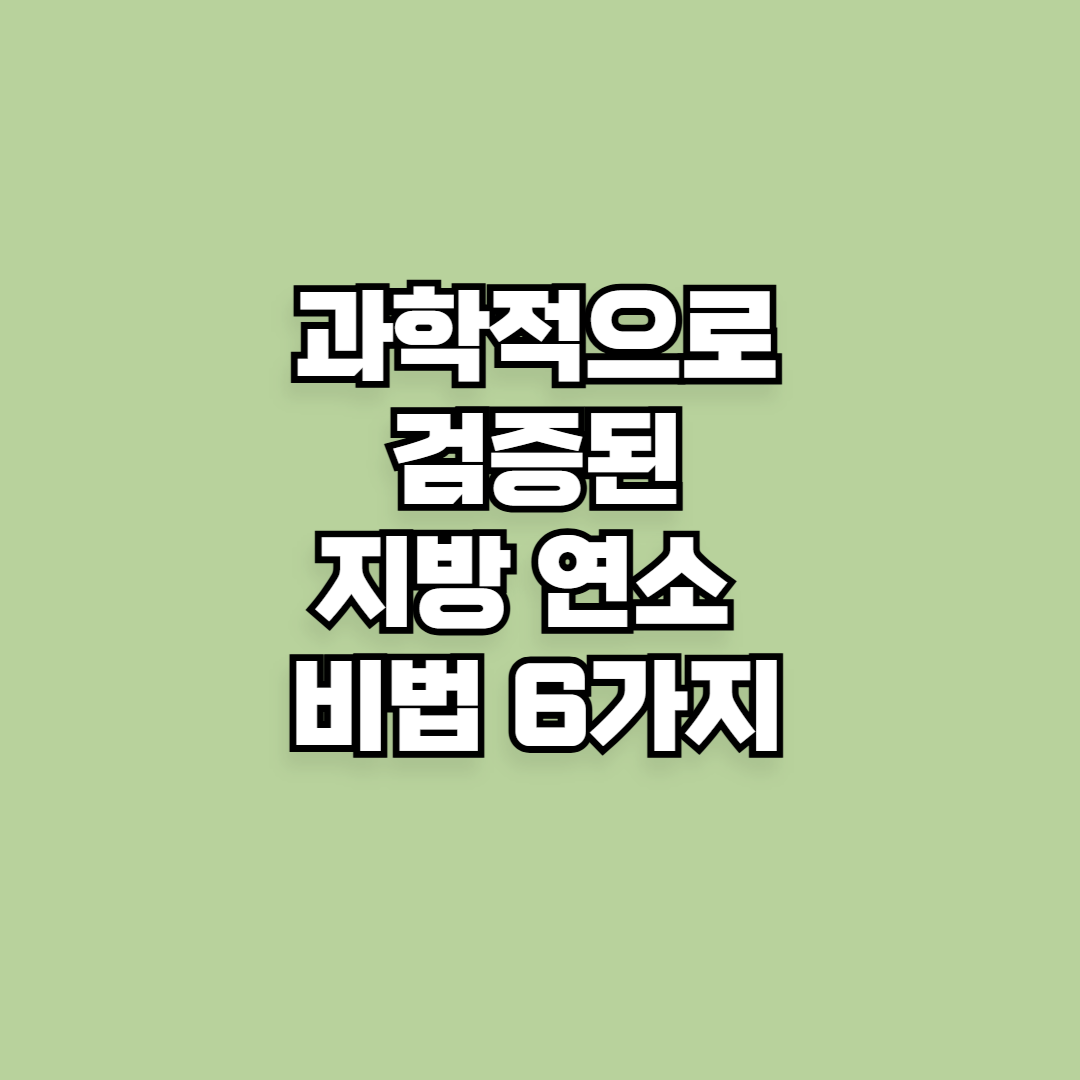 과학적으로 검증된 지방 연소 비법 6가지