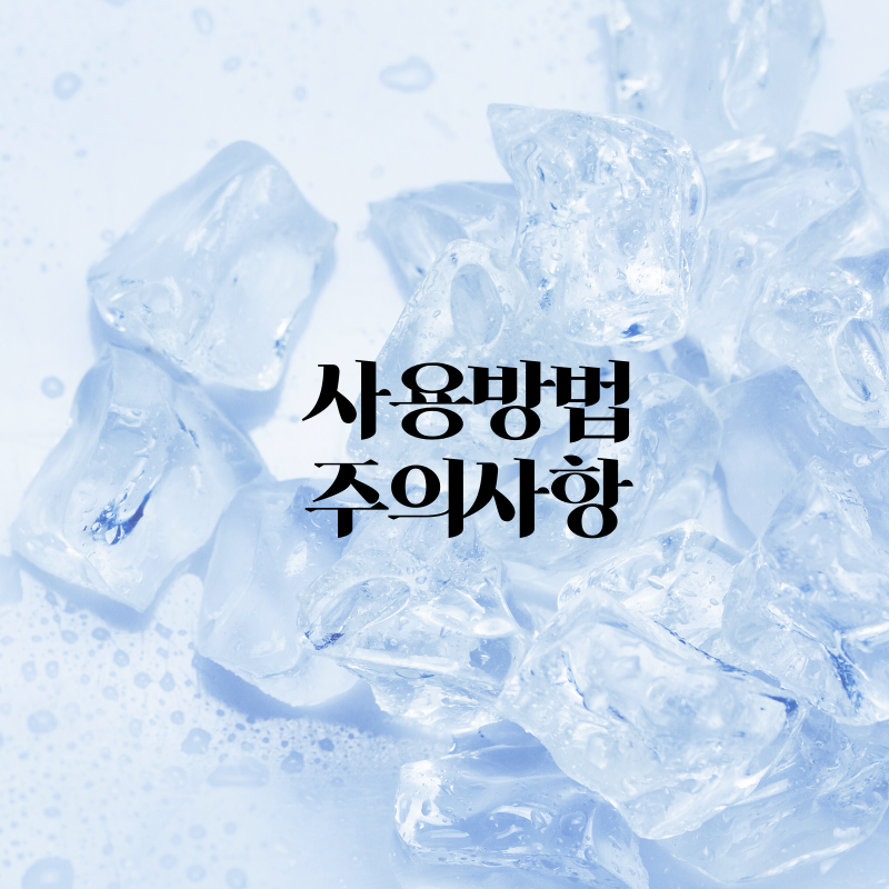 아이스박스가방