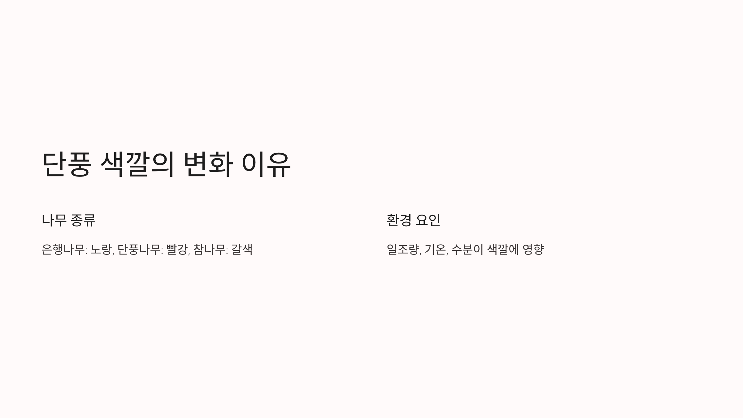 단풍 사진입니다.