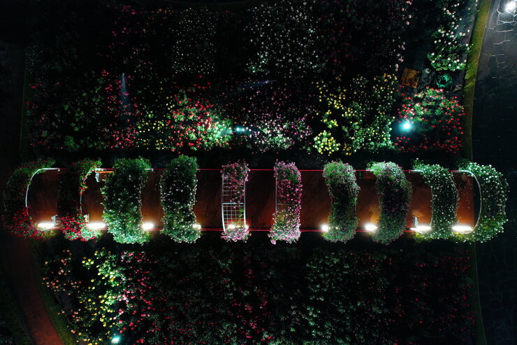 [5월 축제]2025 곡성 세계장미축제❘장미 실시간 개화 상황, 입장권 예매 방법, 프로그램 및 일정, 체험 가이드