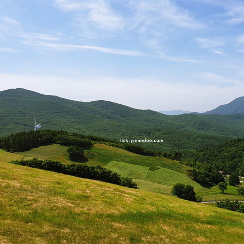 평창 가볼만한곳