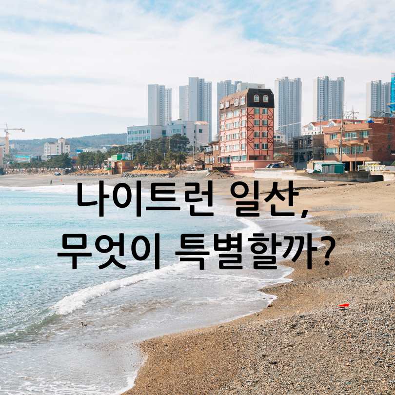 2025 울산조선해양축제 나이트런 일산